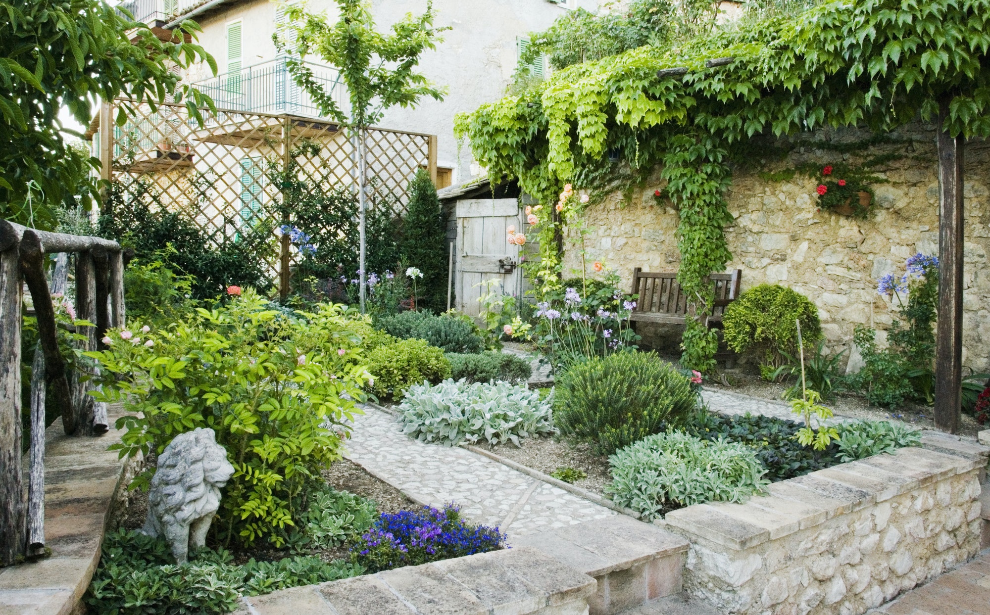 backyard-garden.jpg